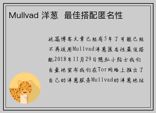 Mullvad 洋葱  最佳搭配匿名性 